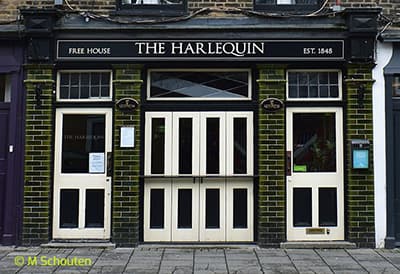 The Harlequin